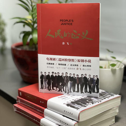 《人民的正义》电视剧《巡回检察组》原著小说 商品图2