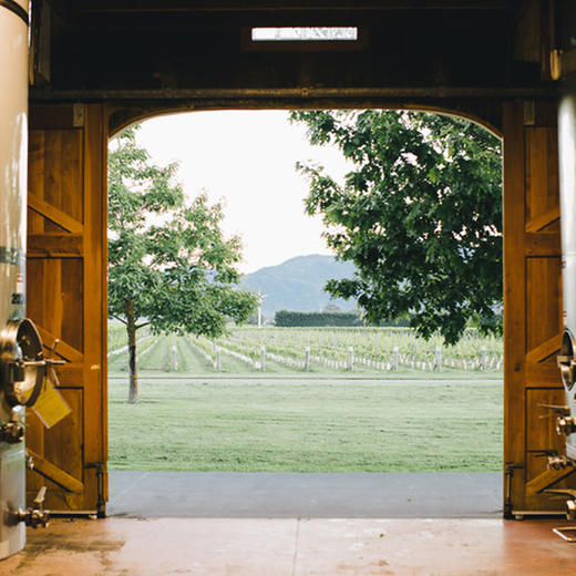 【马尔堡精选】新西兰怡莎园黑皮诺红葡萄酒750ml Isabel Estate Marlborough Pinot Noir (SC) 商品图2