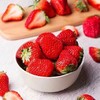 【48小时左右发货】辽宁丹东 红颜草莓🍓2.6斤装左右（约40颗左右/箱） 商品缩略图2