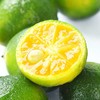 海南小青桔 新鲜金桔 柠檬 小橘子 奶茶店 当季 青柠 水果 应季包邮 商品缩略图1