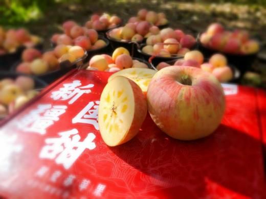 新疆阿克苏冰糖心苹果（2月3日9:00下架） 商品图3