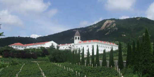 进口法国迪费珍藏桃红起泡酒 750ml精选包邮 商品图4