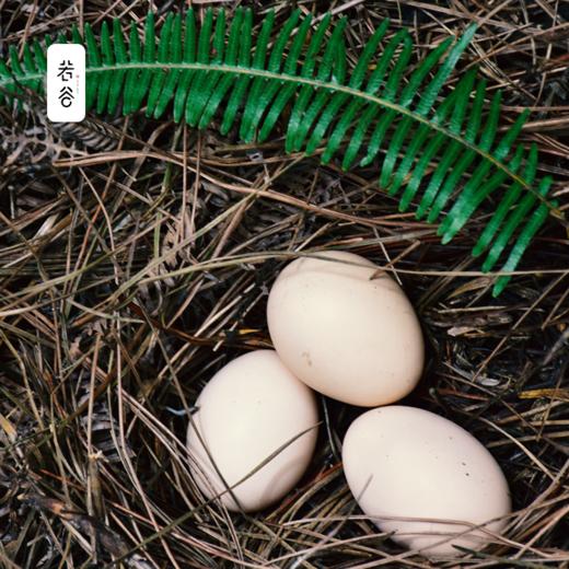 土鸡蛋农家散养新鲜安徽九华山正宗农家土鸡蛋活蛋孕妇食用 商品图1