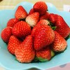 【48小时左右发货】辽宁丹东 红颜草莓🍓2.6斤装左右（约40颗左右/箱） 商品缩略图3