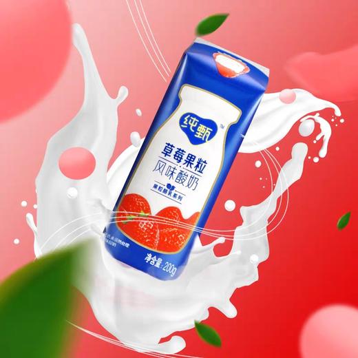 蒙牛纯甄 果粒酪乳草莓味酸奶 200g*10盒/提 商品图2