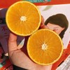 【黔阳冰糖橙】约5斤/箱，国家地理标志产品 商品缩略图2