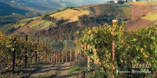 进口意大利巴塔希墨斯卡多斯布曼德VDT 甜酒 750ml精选包邮 商品图2