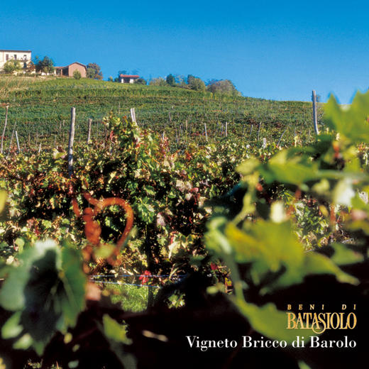 进口意大利巴塔希尼比奥洛红葡萄酒750ml 商品图3