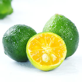 海南小青桔 新鲜金桔 柠檬 小橘子 奶茶店 当季 青柠 水果 应季包邮