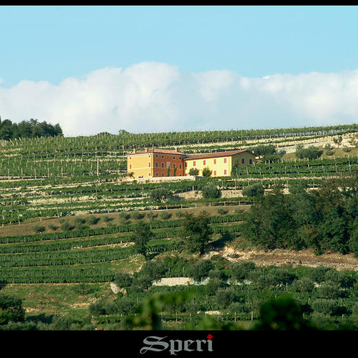 进口意大利丝柏宁圣乌巴诺园瓦尔波利红葡萄酒750ml 商品图3