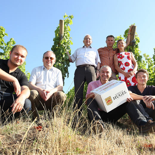 进口法国御嘉世家庄园雷司令白葡萄酒750ml 商品图2