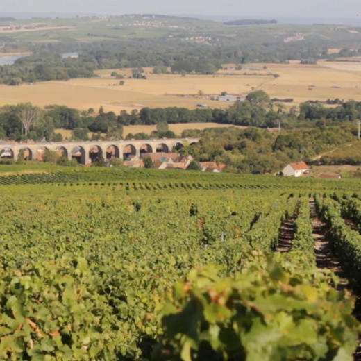 进口干露酒厂魔爵红, 智利普恩朵葡萄园 2020 Don Melchor Cabernet Sauvignon, Chile Puente Alto 2020 商品图3