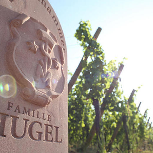 进口法国御嘉世家白萄酒750ml 商品图3