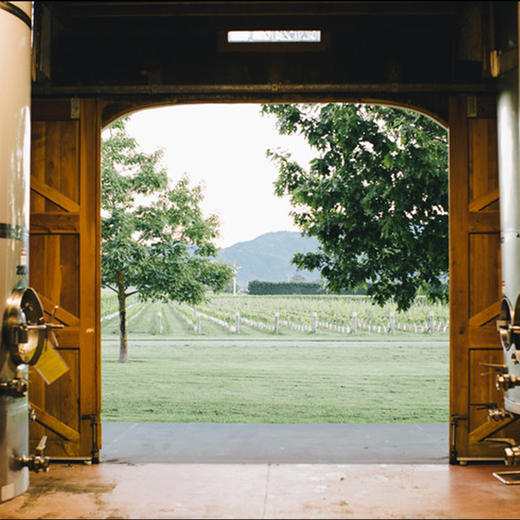 进口新西兰怡莎园苏维翁白葡萄酒, 马尔堡750ml精选包邮 商品图2