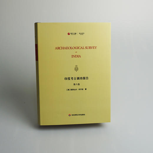 印度考古调查报告 第六卷 Archaeological Survey of India 印度历史 印度考古 正版 华东师范大学出版社 商品图1