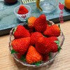 【48小时左右发货】辽宁丹东 红颜草莓🍓2.6斤装左右（约40颗左右/箱） 商品缩略图7