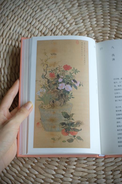 《中式生活文艺复兴系列》（3册）《茶经》+《随园食单》+《瓶史》，去过一种有质感的生活，潇洒自在美如诗 商品图5