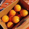 【黔阳冰糖橙】约5斤/箱，国家地理标志产品 商品缩略图7