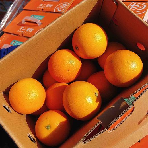 【黔阳冰糖橙】约5斤/箱，国家地理标志产品 商品图7