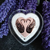 河南中钱  斐济心形双金属 纪念银币 情人节礼物 520告白礼 商品缩略图13