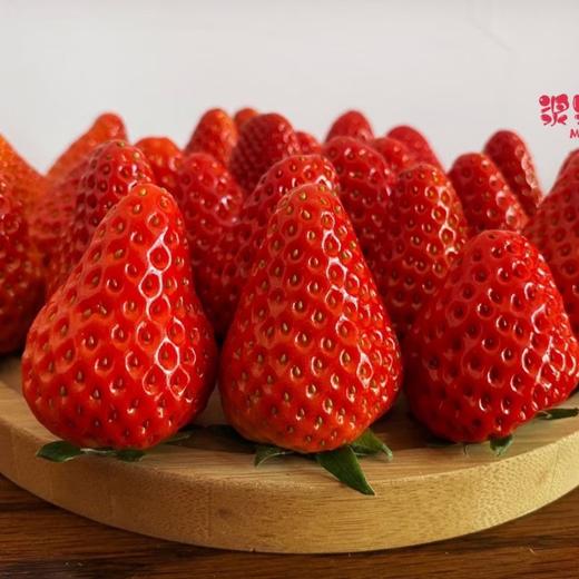 【48小时左右发货】辽宁丹东 红颜草莓🍓2.6斤装左右（约40颗左右/箱） 商品图5