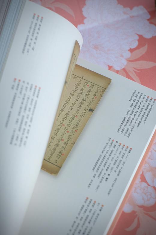 《中式生活文艺复兴系列》（3册）《茶经》+《随园食单》+《瓶史》，去过一种有质感的生活，潇洒自在美如诗 商品图6