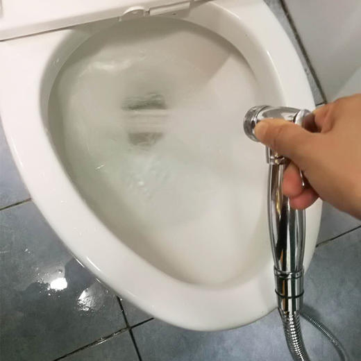 莲氏坐浴座马桶冲洗器（整套） 商品图0