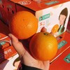 【黔阳冰糖橙】约5斤/箱，国家地理标志产品 商品缩略图6