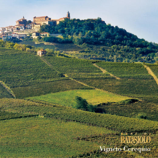 进口意大利巴塔希尼比奥洛红葡萄酒750ml 商品图2