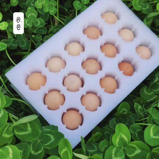 土鸡蛋农家散养新鲜安徽九华山正宗农家土鸡蛋活蛋孕妇食用 商品图3