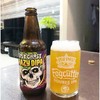 迷失海岸 幽灵浑浊IPA 精酿啤酒（美国） 商品缩略图1