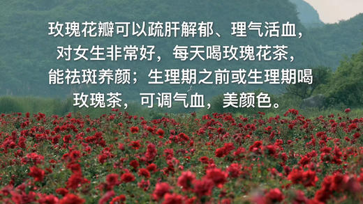 〔产地直发包邮01〕大理有机玫瑰 商品图5