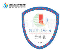 定制深圳市龙岗区清林小学熨烫校徽礼服布标姓名贴胸章缝制包邮51