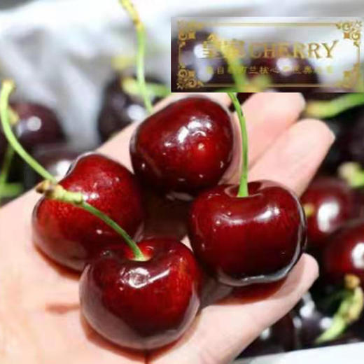 皇家新西兰车厘子 商品图3