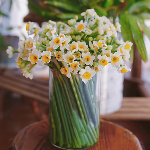 水仙花 100枝鲜切花 很香 很大量 我国的十大名花之一 花小蕾花店 水仙花 100枝鲜切花 很香 很大量 我国的十大名花之一 花小蕾花店
