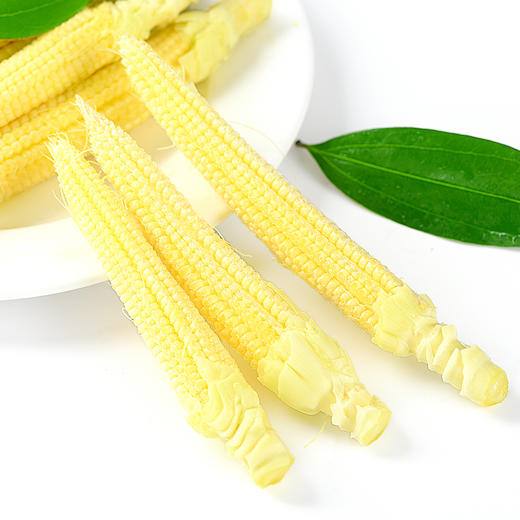 新鲜玉米笋 迷你甜玉米笋整箱 水果玉米 蔬菜 小玉米棒 包邮 商品图0