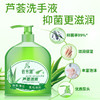 芦荟清爽柠檬清香洗手液家用消毒杀菌便携式清香型儿童抑菌家庭装 商品缩略图1