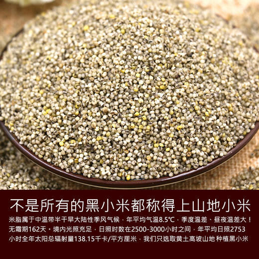 桃花峁米脂山地黑小米500g/袋 自立袋装 商品图4