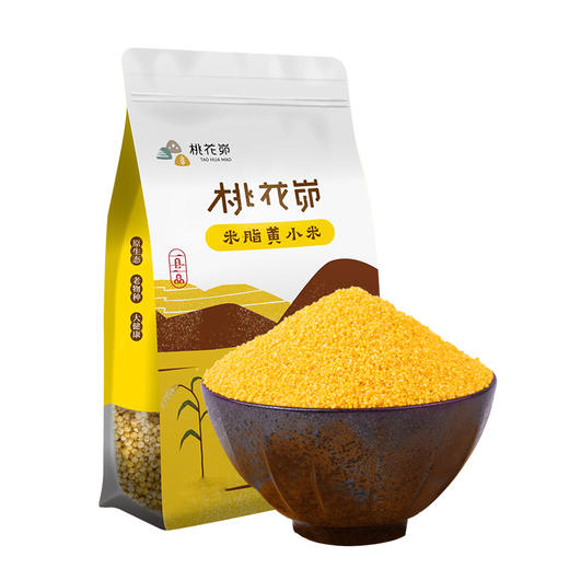 【米脂小米】五谷杂粮黄小米陕北特产杂粮500g×4袋粗粮农家新米 塑料袋装 商品图4