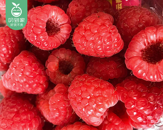 怡颗莓云南红树莓（约125g/盒） 商品图1