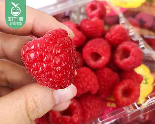 怡颗莓云南红树莓（约125g/盒） 商品图2