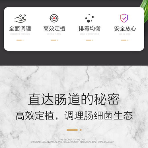 ENC—16菌种复合益生菌  守护肠道健康三瓶装 商品图2