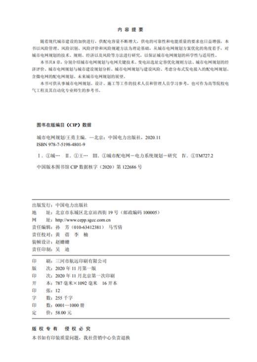 城市电网规划 商品图3