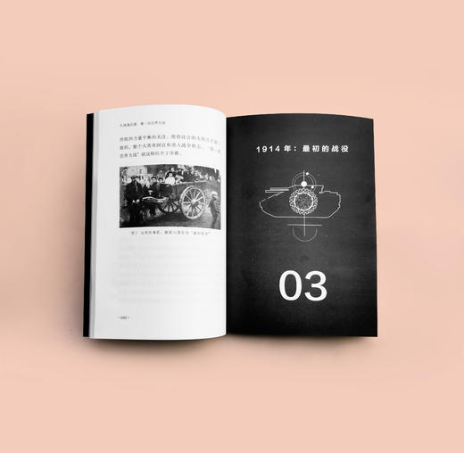 牛津通识课（军事学套装共4册） 商品图13