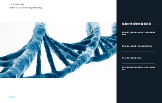 基因型大数据系统 商品图0