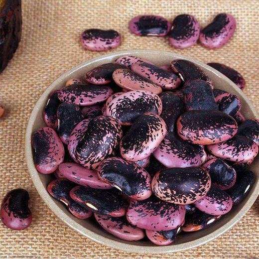 高山野黑豆 商品图5