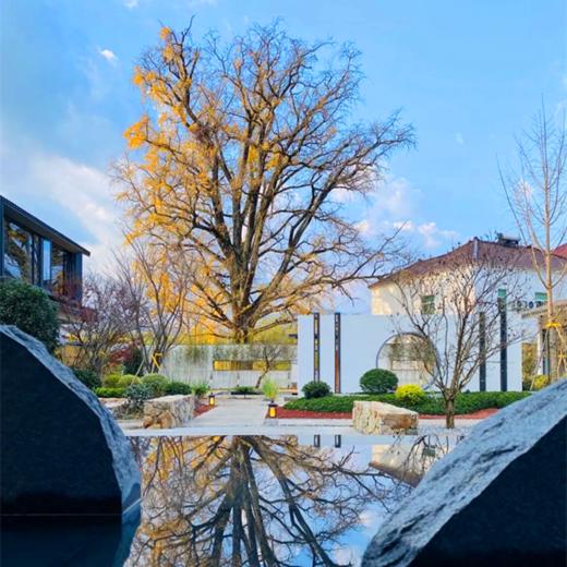 【江浙】无它心舍！300年银杏、山泉水360度环绕、流水水果欢迎礼、溪边下午茶！杭州鸬鸟店、龙门店、太阳公社店、径山寺店、兰溪店，5店通兑！ 商品图3