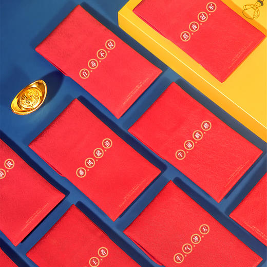 【为思礼 年礼】2026新年春节 祥瑞红包 织锦缎布艺刺绣 利红包 宫墙红包 青铜磁扣 大气中国风 改口包边 过年压岁包 商品图5