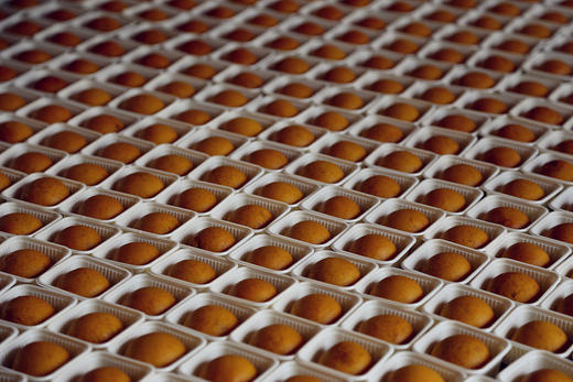 【下单3天发货】秋膘vs酥怡 云南云腿小饼 醇香本味 精选食材 配料干净现做现发（云南顺丰发货） 商品图3