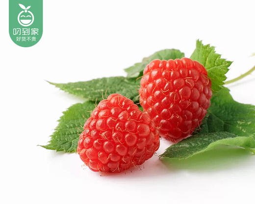 怡颗莓云南红树莓（约125g/盒） 商品图3